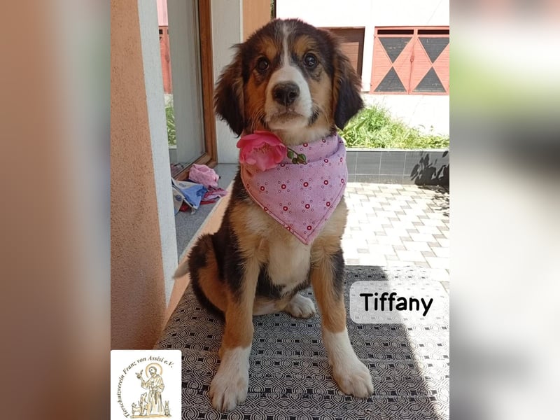 Tiffany – Man ist nie zu klein, um für jemanden die ganze Welt zu sein!