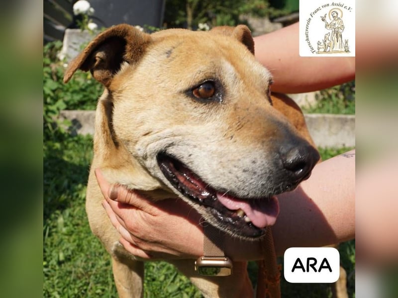 Ara – Narben vom Leben, doch ihre Seele blieb rein!