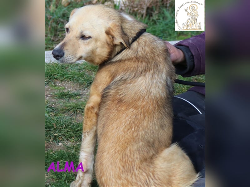 Alma – kleiner Sonnenschein