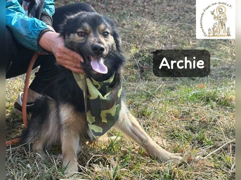 Archie – der Moment, in dem ein Hund dein Leben verändert!