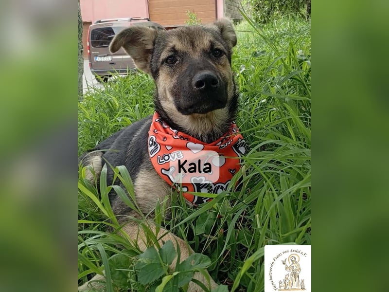 Kala – Das Leben klopft an. Wer macht die Tür auf!