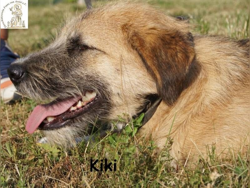 Kiki – Kuschelfee im Anflug!