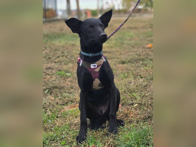 Aron❤️menschenverliebter Jungspund