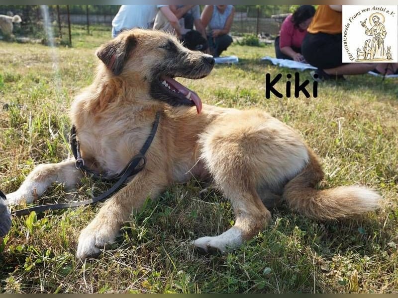 Kiki – Kuschelfee im Anflug!