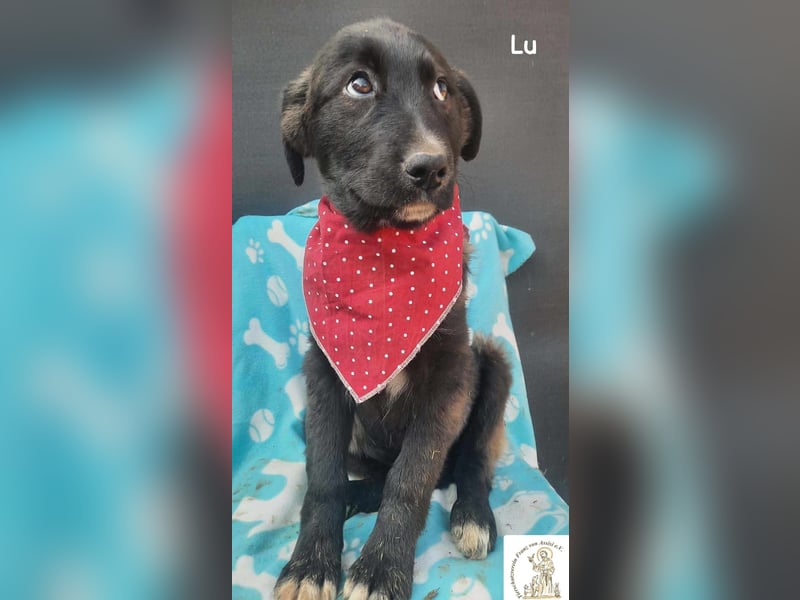 Lu – kleine Entdeckerin mit dem Kopf voller Ideen!