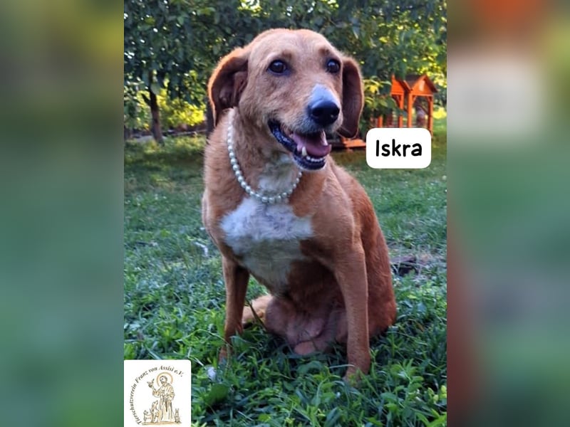 Iskra – Wenn Lebensmut Flügel bekommt!