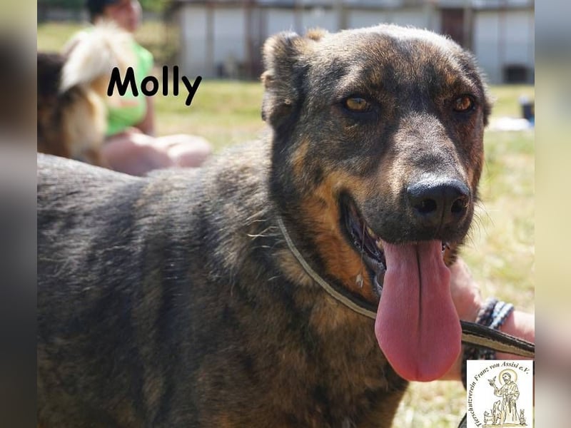 Molly – Ein bisschen Ruhe und viel Liebe!
