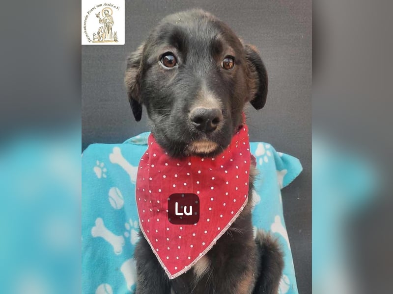 Lu – kleine Entdeckerin mit dem Kopf voller Ideen!