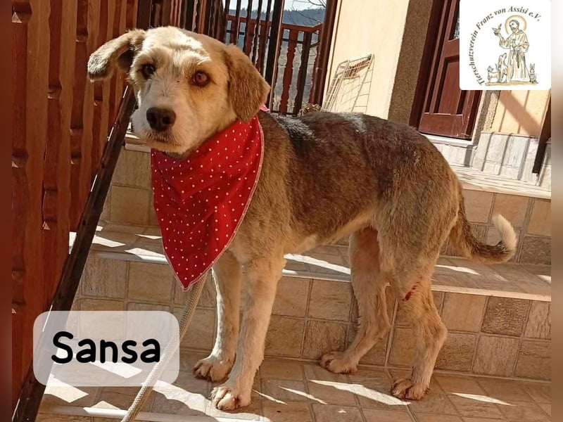 Sansa – der Neuanfang steht ihr einfach gut!