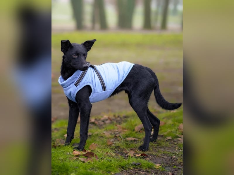 Aron❤️menschenverliebter Jungspund