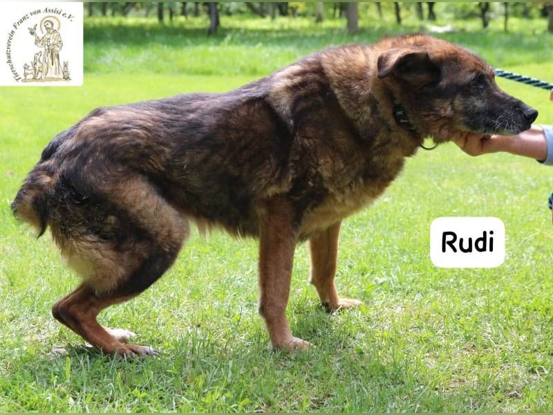 Oma Rudi – Eine ruhige Seele sucht ihr letztes Glück!