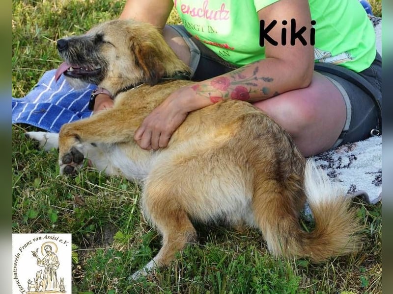 Kiki – Kuschelfee im Anflug!