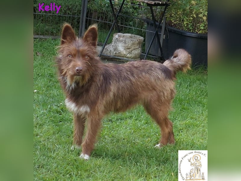 Kelly –  die Frohnatur