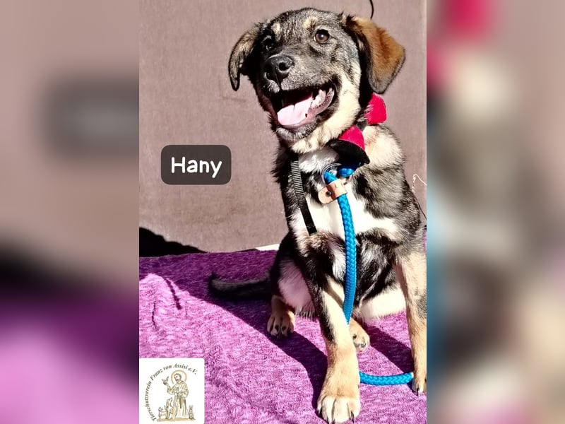 Hany – neugierig, frech und unwiderstehlich!