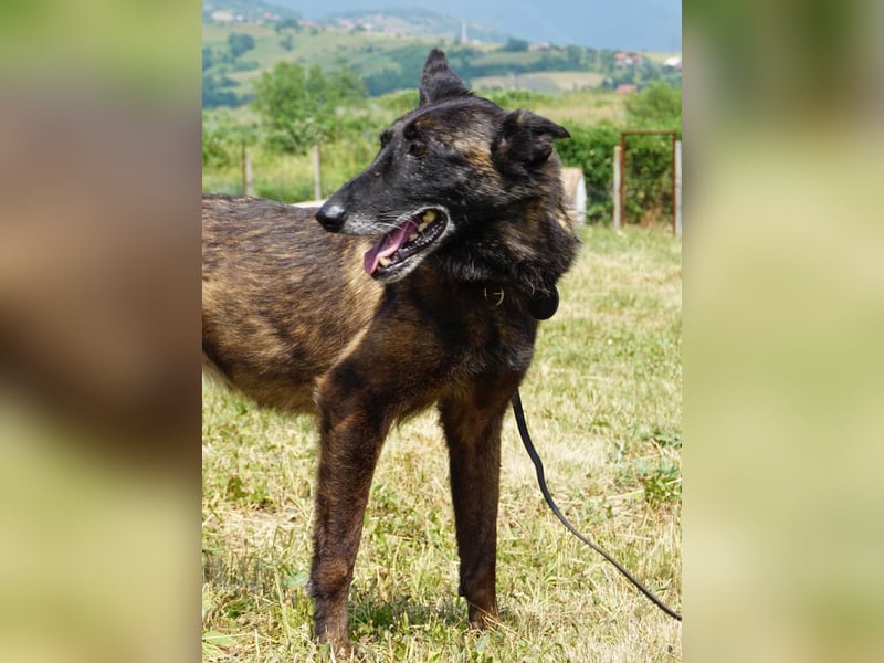 Dona – sucht ruhigen Hafen zum Seele baumeln lassen