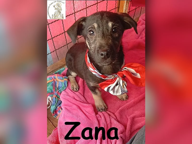 Zana – kleines Wesen mit großen Gefühlen!