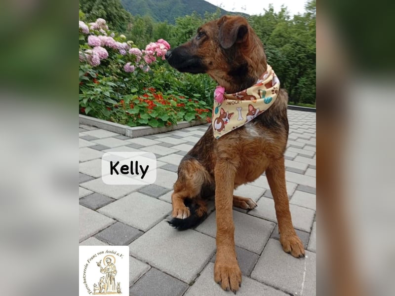 Kelly – Das Leben beginnt dort, wo Neugier auf Vertrauen trifft!