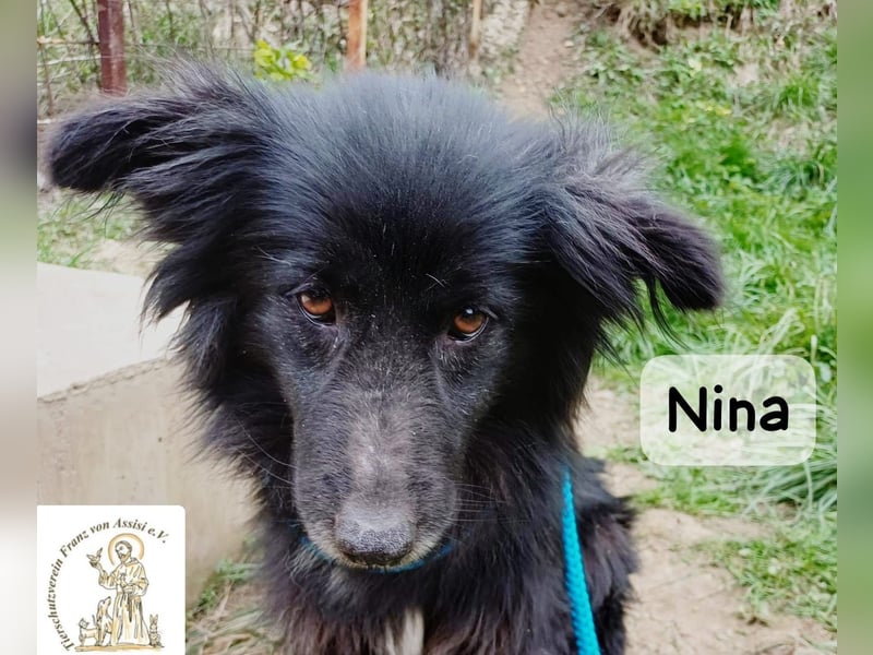 Nina – ein Platz zum Durchatmen gesucht!