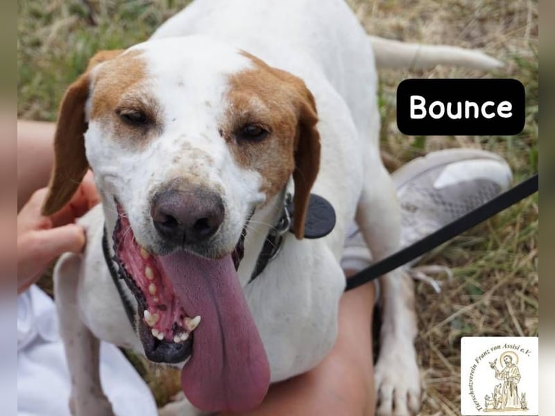 Bounce- Hummeln im Hintern & Sonne im Herzen!