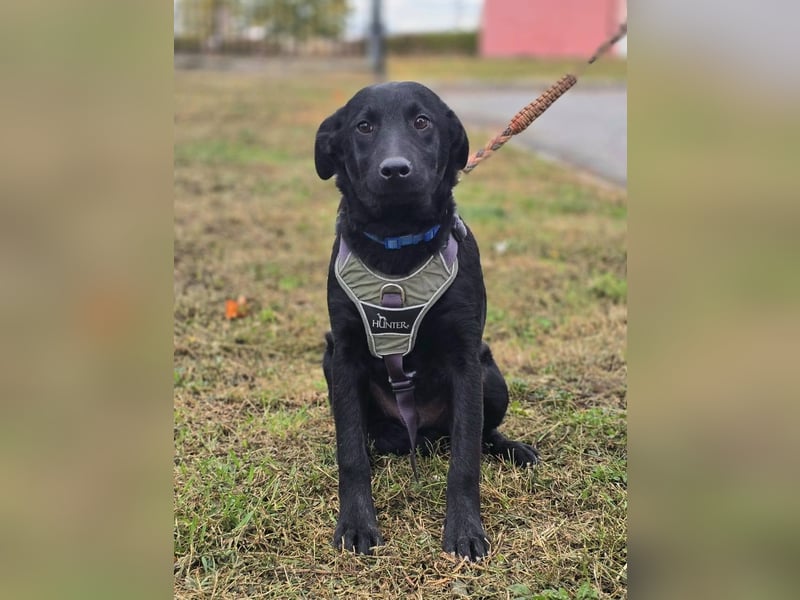 Odin ❤️ kleiner Held