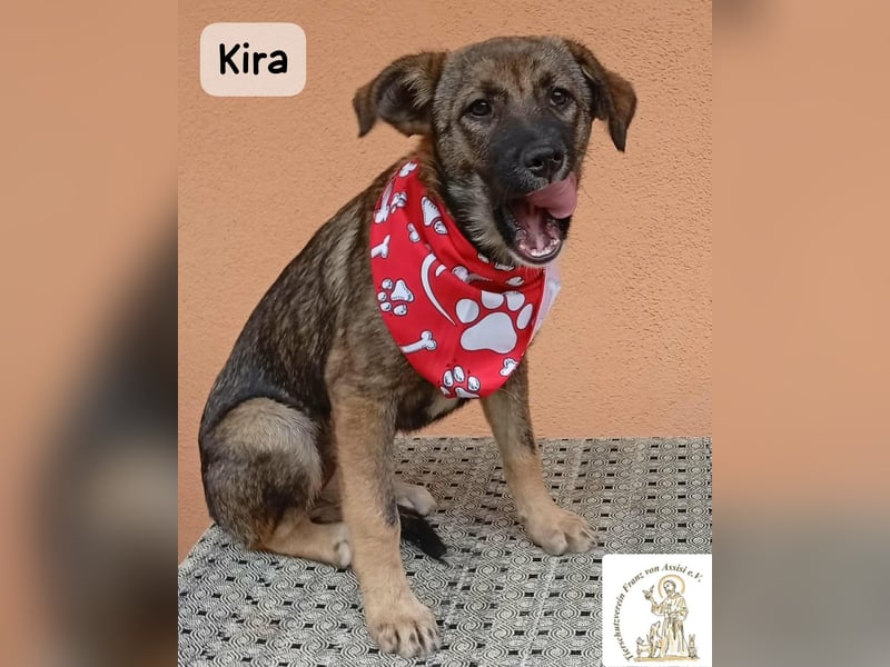 Kira – Warum nicht heute glücklich werden!