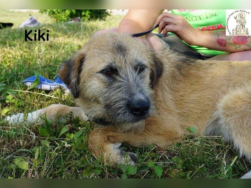 Kiki – Kuschelfee im Anflug!