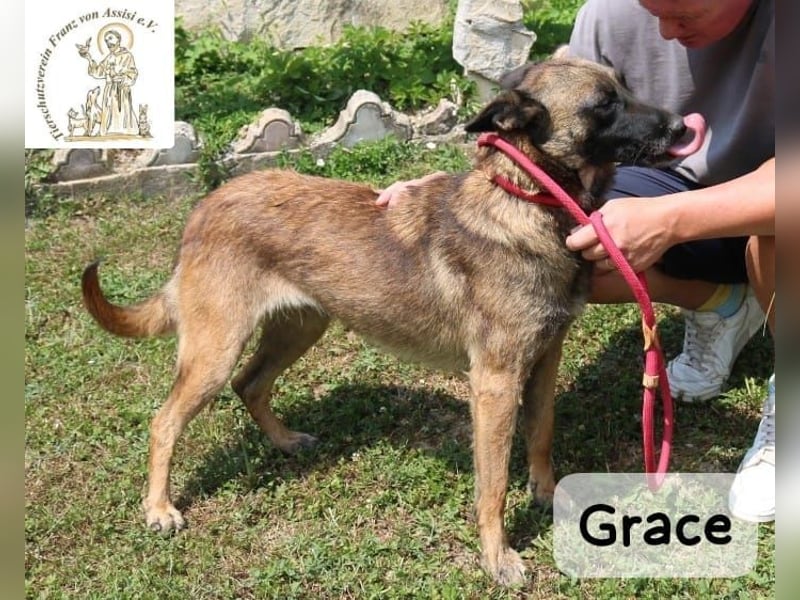 Grace – Köpfchen, Power und definitiv Pfeffer im Hintern!