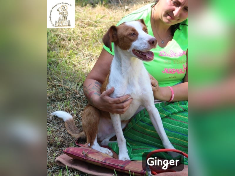 Ginger – bereit für alles, was das Leben zu bieten hat!