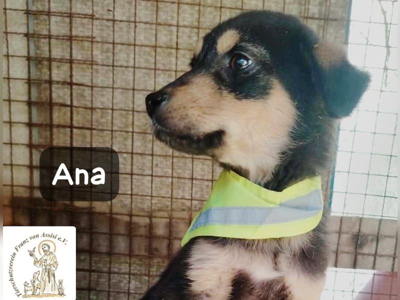 Ana – kleines Mädchen, große Pläne!