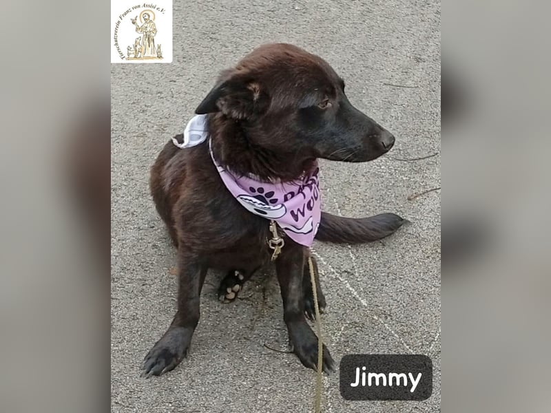 Jimmy – Aufgeben? Kam für ihn nie infrage!