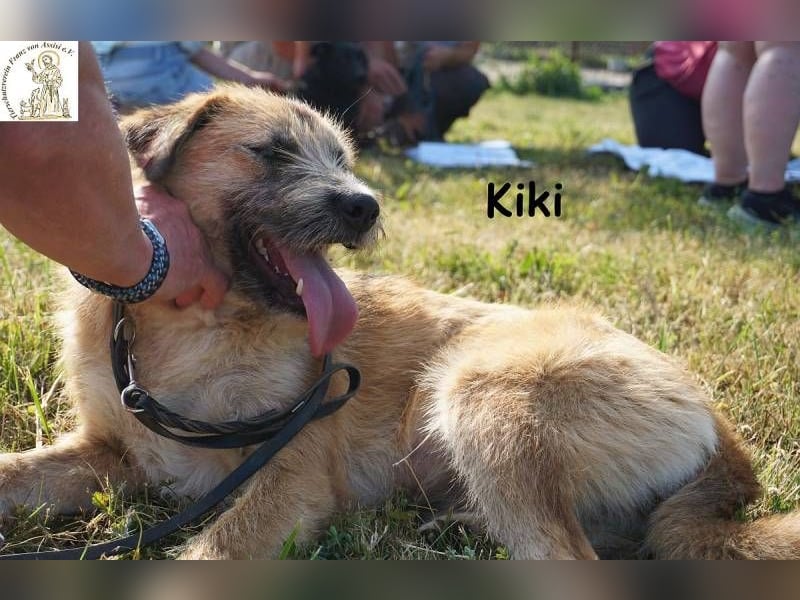 Kiki – Kuschelfee im Anflug!