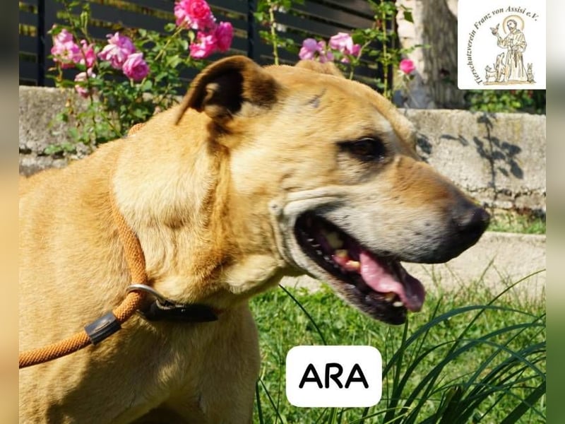 Ara – Narben vom Leben, doch ihre Seele blieb rein!