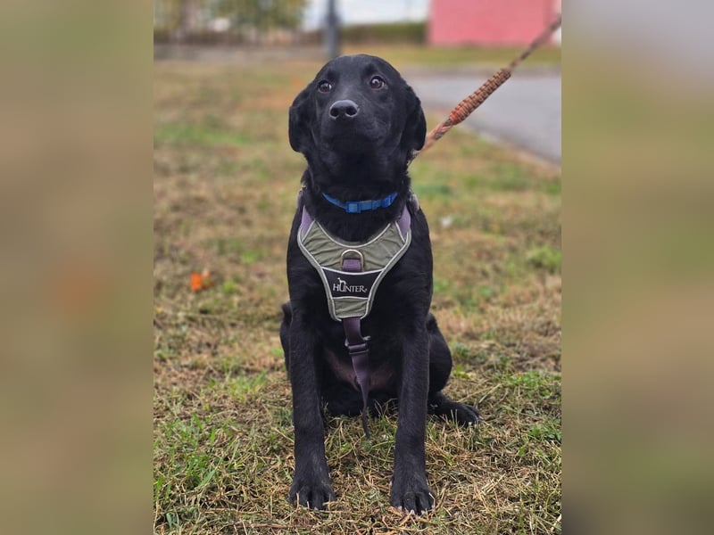 Odin ❤️ kleiner Held