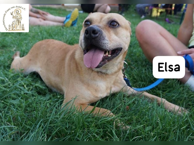 Elsa – Kuscheln, Freiheit und Abenteuer: Elsas Rezept fürs Glück!