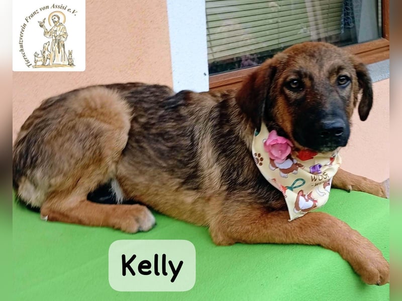 Kelly – Das Leben beginnt dort, wo Neugier auf Vertrauen trifft!