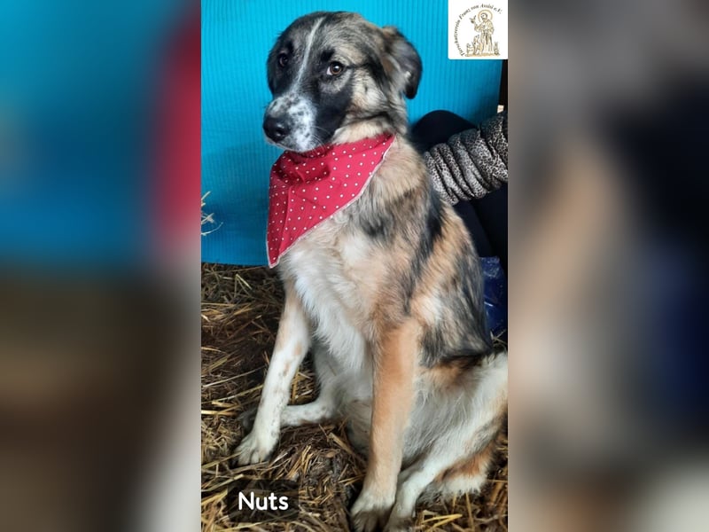 Nuts – leise beginnen, gemeinsam stärker werden!