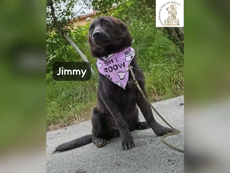Jimmy – Aufgeben? Kam für ihn nie infrage!