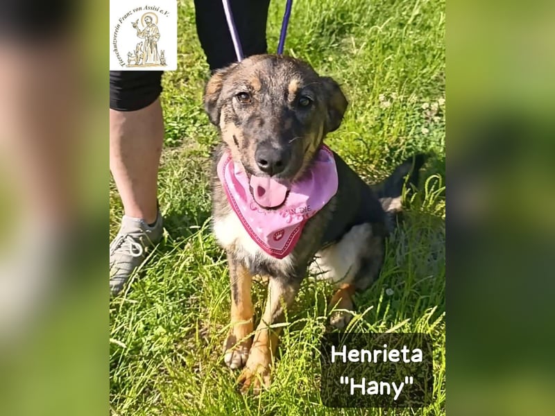 Hany – neugierig, frech und unwiderstehlich!