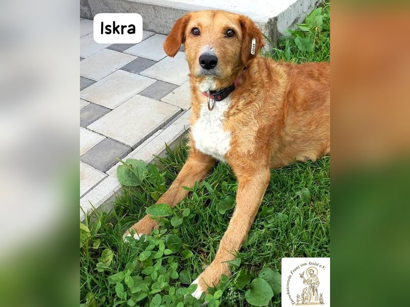 Iskra – Wenn Lebensmut Flügel bekommt!