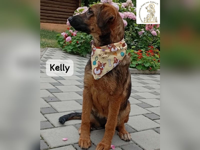 Kelly – Das Leben beginnt dort, wo Neugier auf Vertrauen trifft!