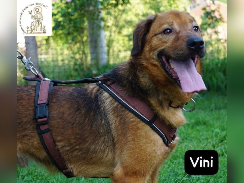 Vini – Mission Freiheit!