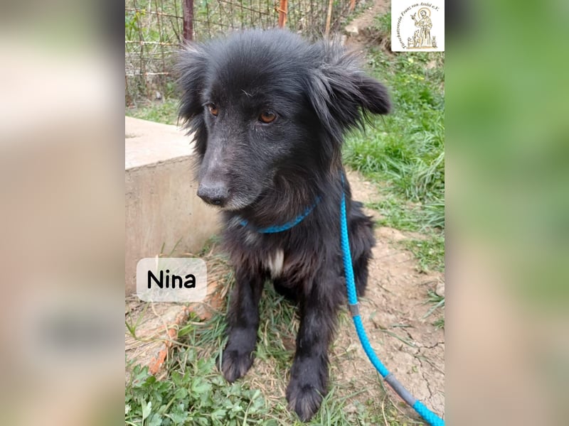 Nina – ein Platz zum Durchatmen gesucht!