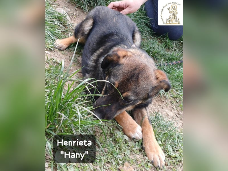 Hany – neugierig, frech und unwiderstehlich!