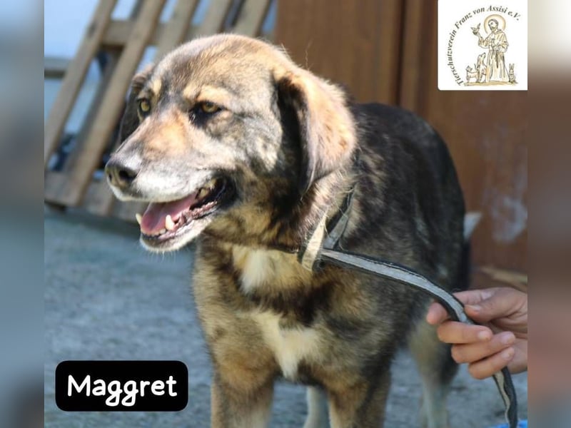 Maggret – ruhig, feinfühlig, zauberhaft und ein bisschen Magie auf vier Pfoten!