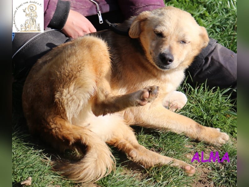 Alma – kleiner Sonnenschein