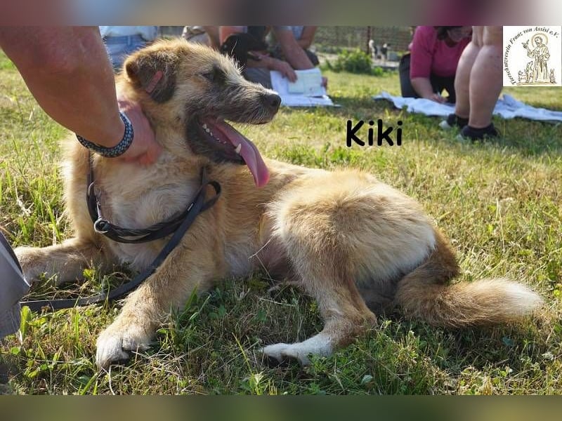 Kiki – Kuschelfee im Anflug!