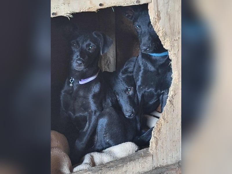 Odin ❤️ kleiner Held