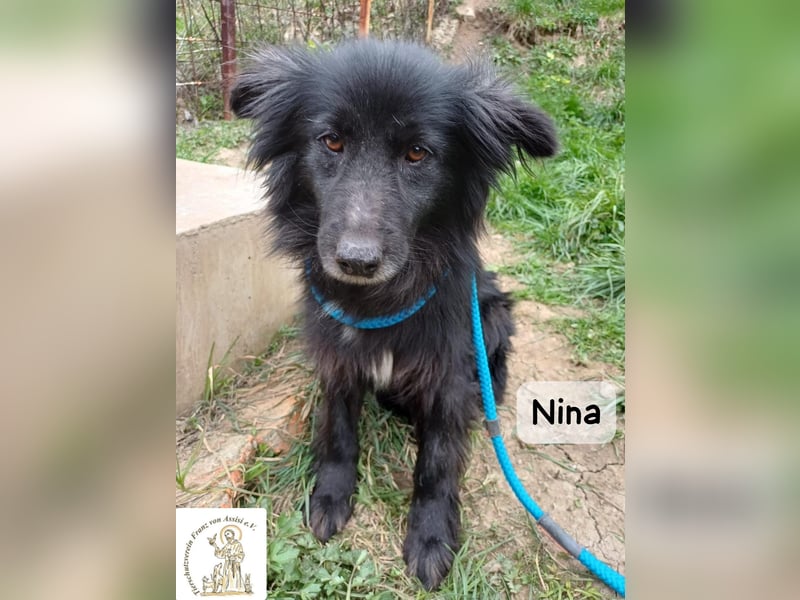 Nina – ein Platz zum Durchatmen gesucht!