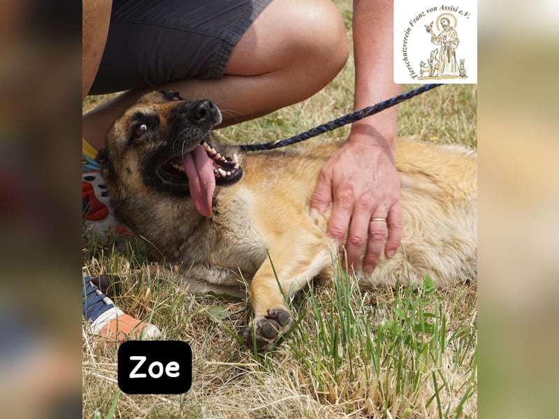 Zoe – Ein Wirbelwind? Nein. Ein Sonnenschein mit Schubkraft!