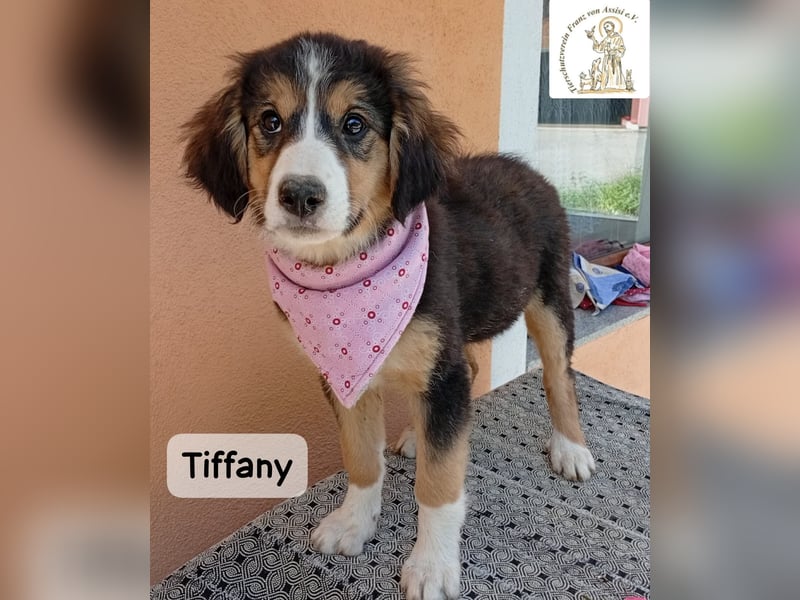Tiffany – Man ist nie zu klein, um für jemanden die ganze Welt zu sein!